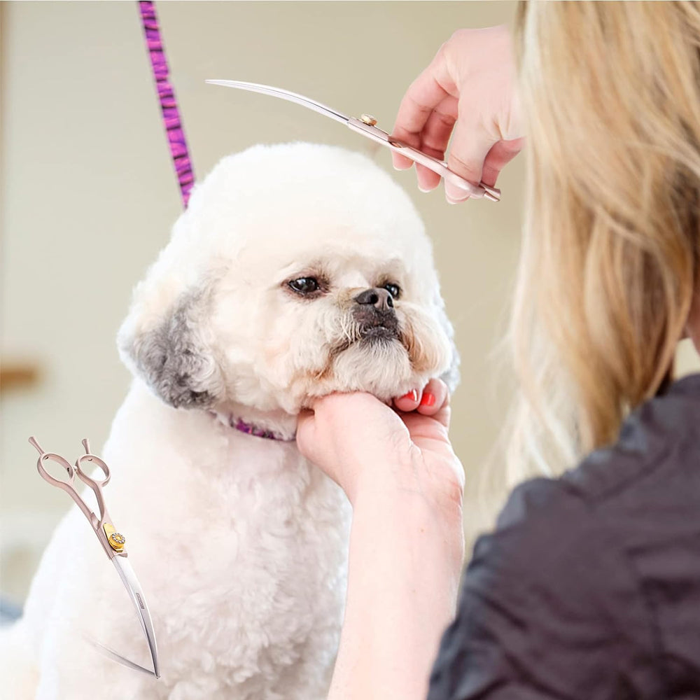 Forbici con punta ricurva