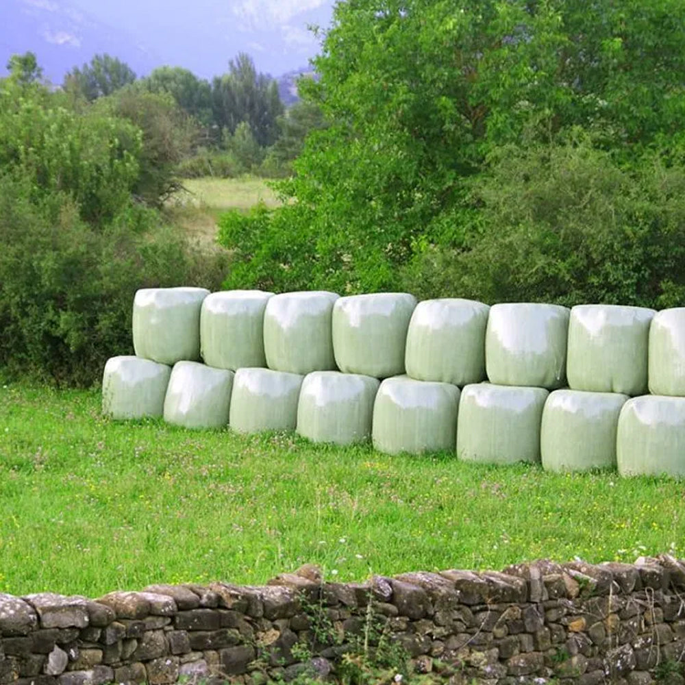 Silaggio di alta qualità