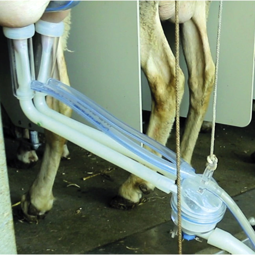 Guaine in Silicone per Ovini e Caprini Confezione da 2 Pezzi