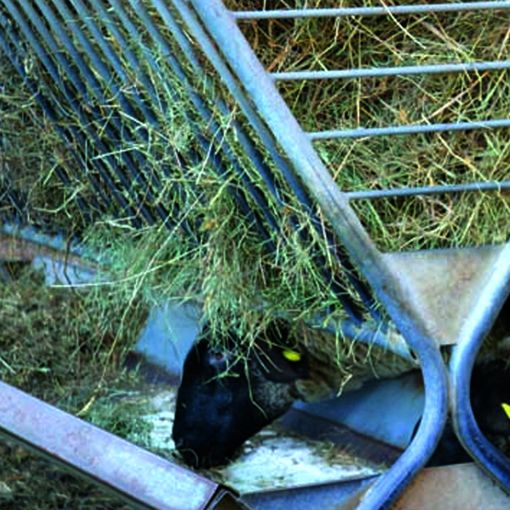 Portafieno coperto per ovi-caprini