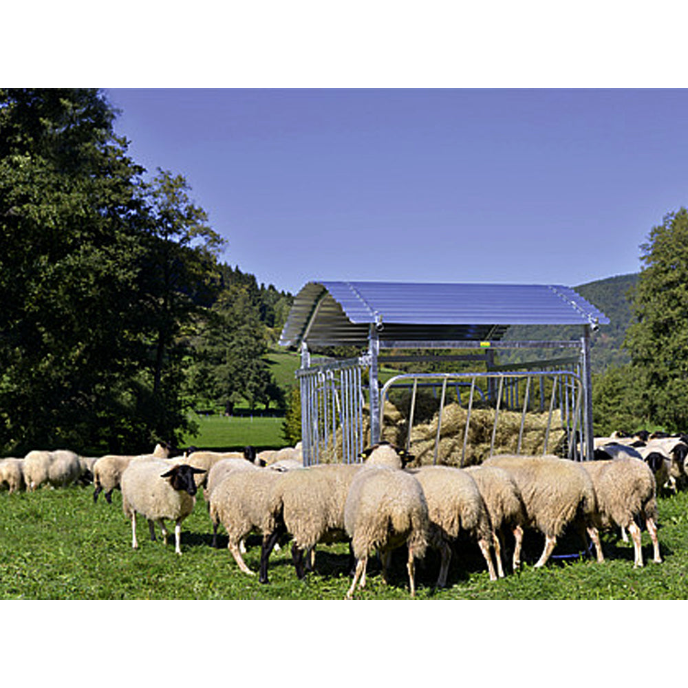 mangiatoia senza tetto