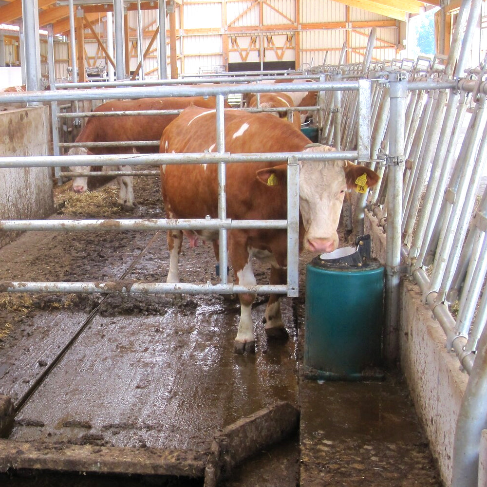 valvola a cucchiaio per abbeveratoio