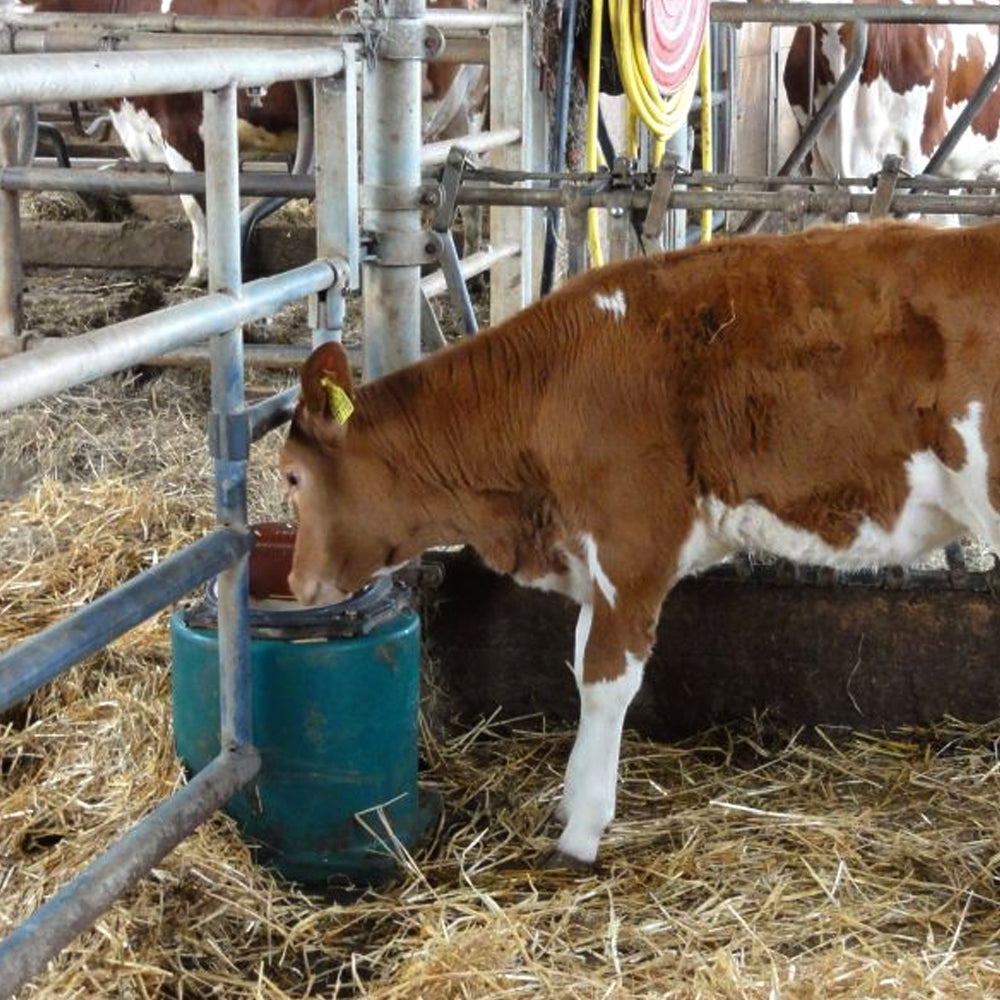 abbeveratoio modello 41A