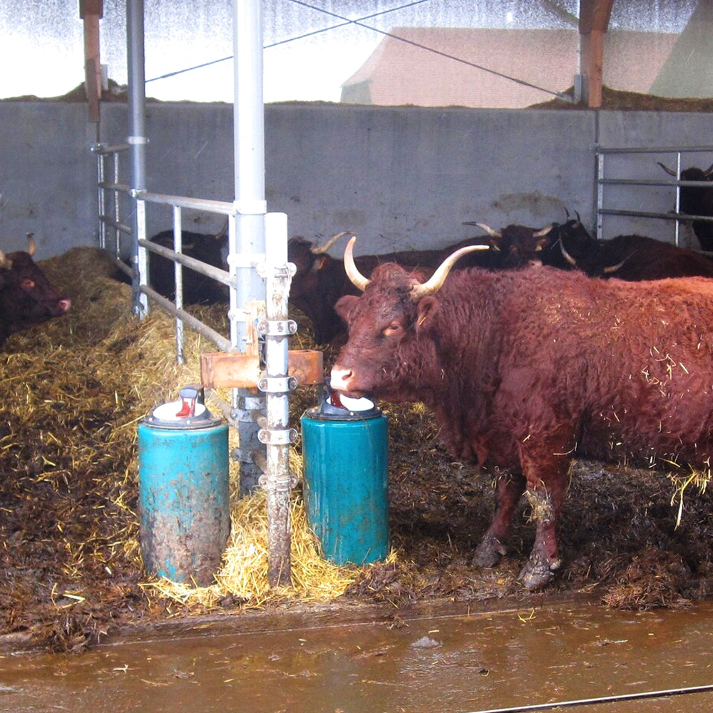 abbeveratoio automatico