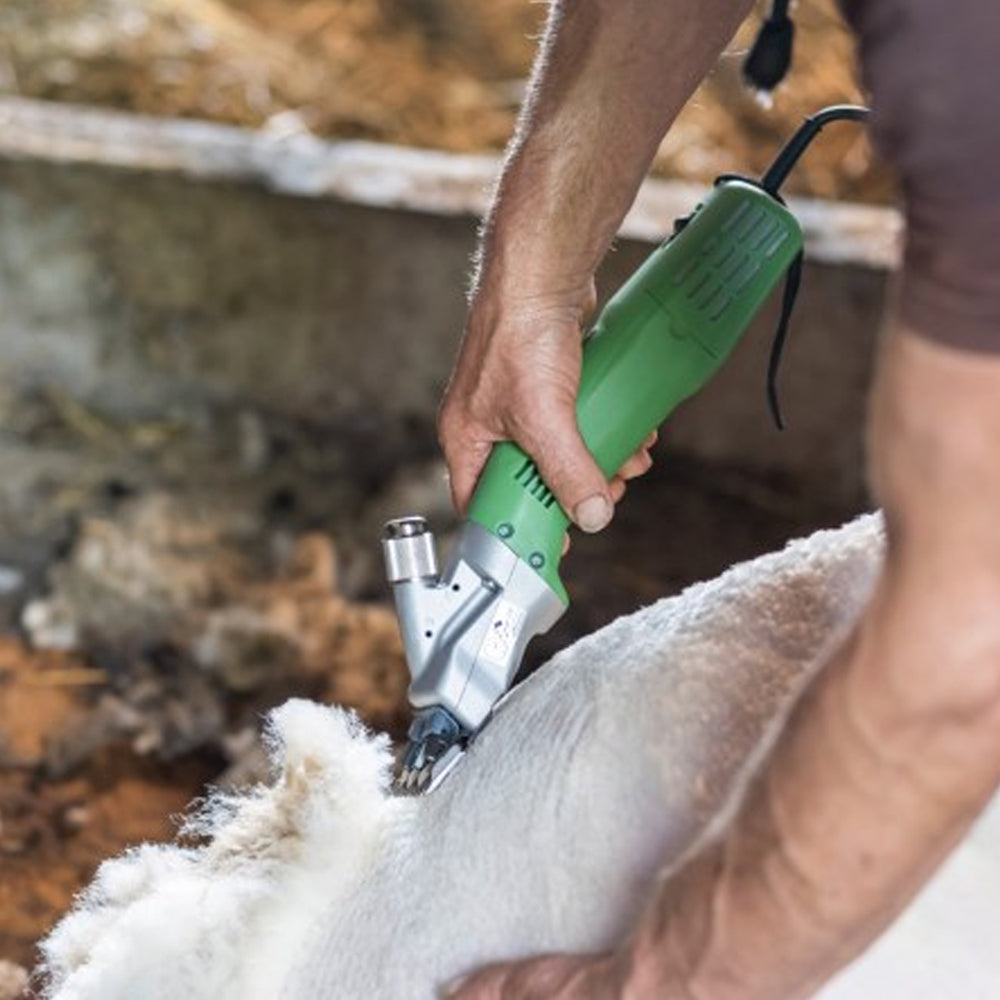 Lama di ricambio A56 per vacche