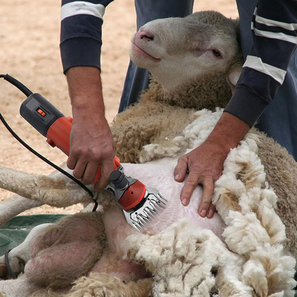 Lama di ricambio A56 per vacche