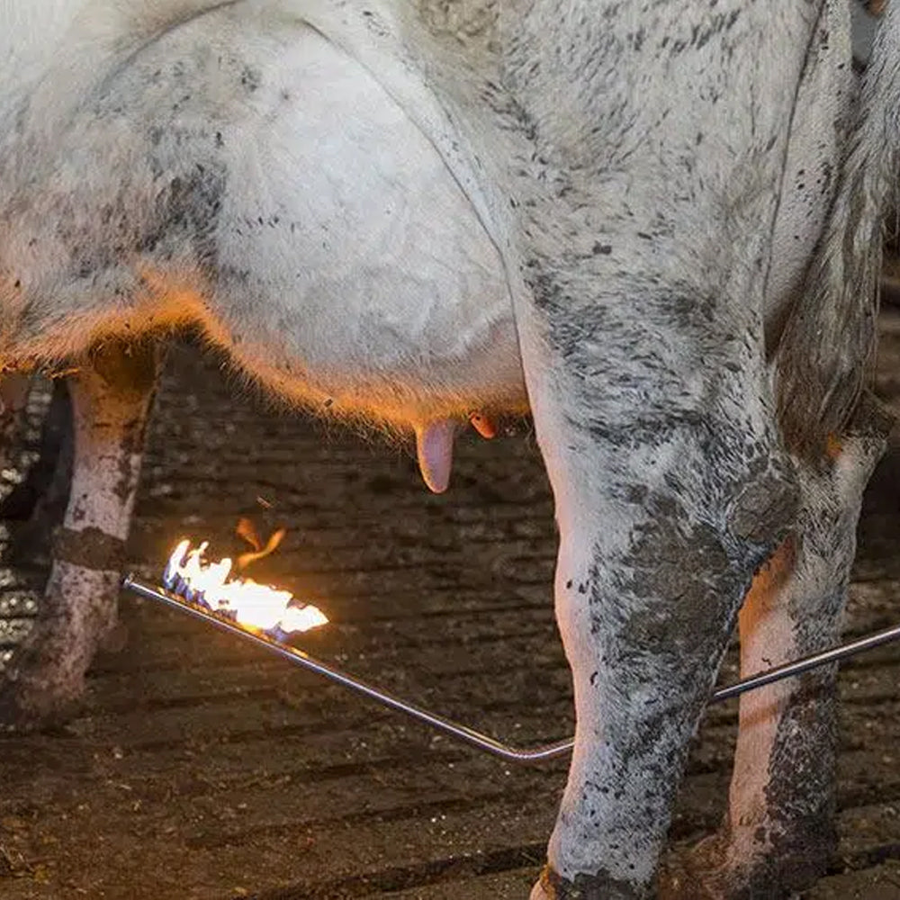 Brucia-Peli Mammelle con Attacco a Cartuccia a Gas