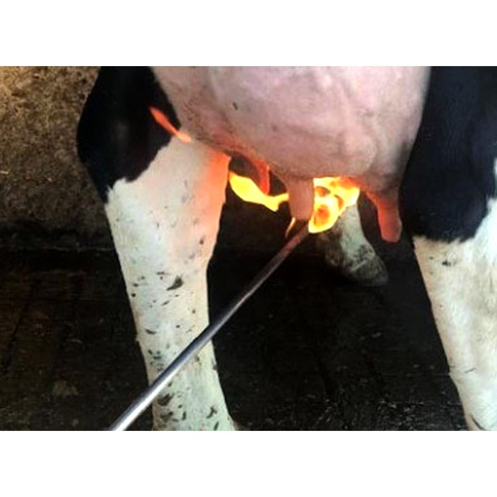 Brucia-Peli Mammelle con Attacco a Cartuccia a Gas