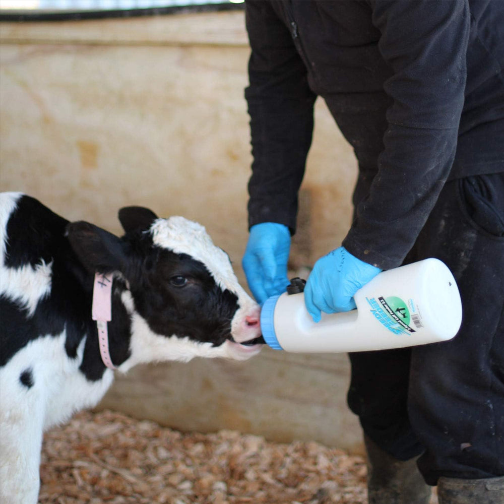 alimentazione vitelli