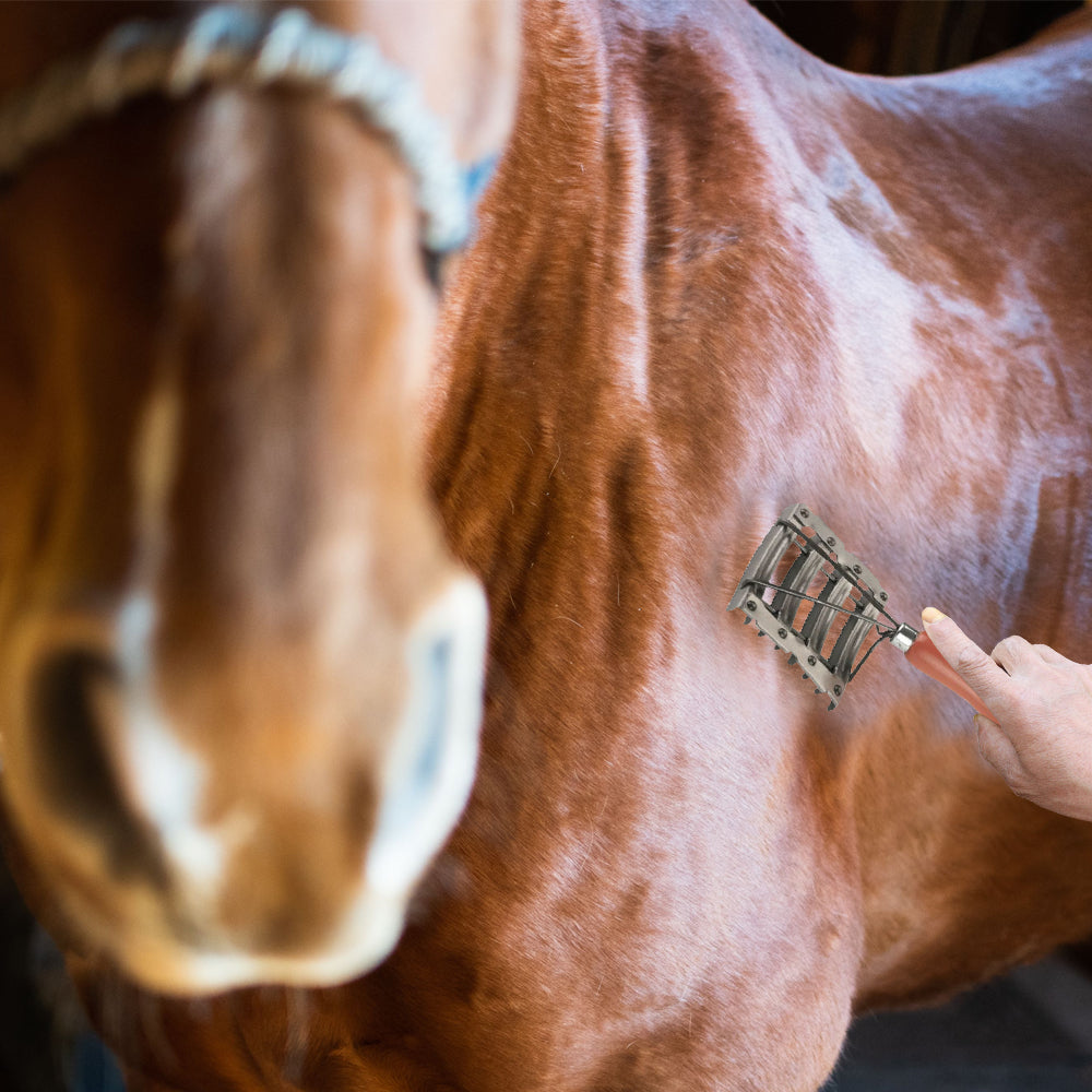 Striglia in metallo staffa in filo