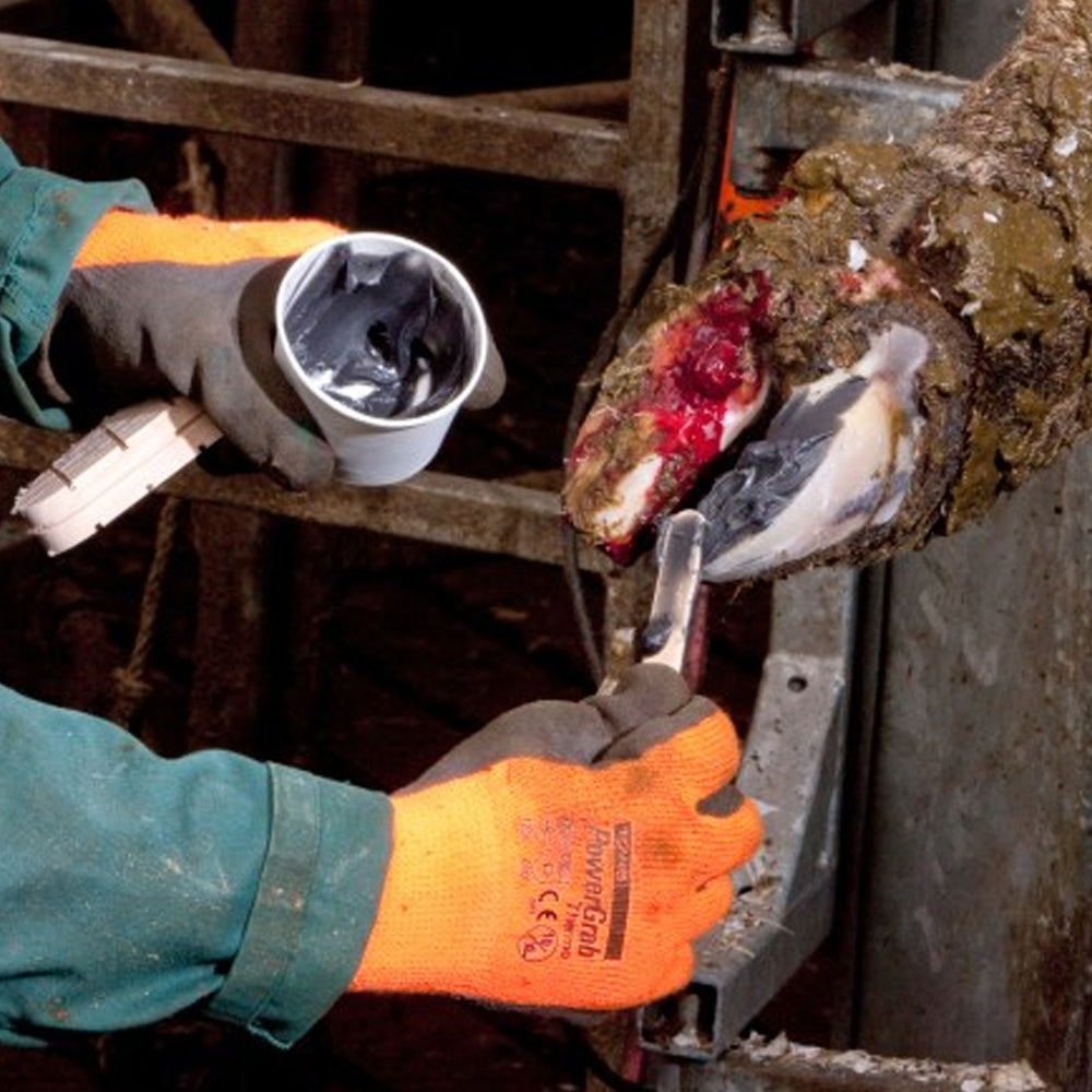 Technovit 6091 Resina Universale per Zoccoli