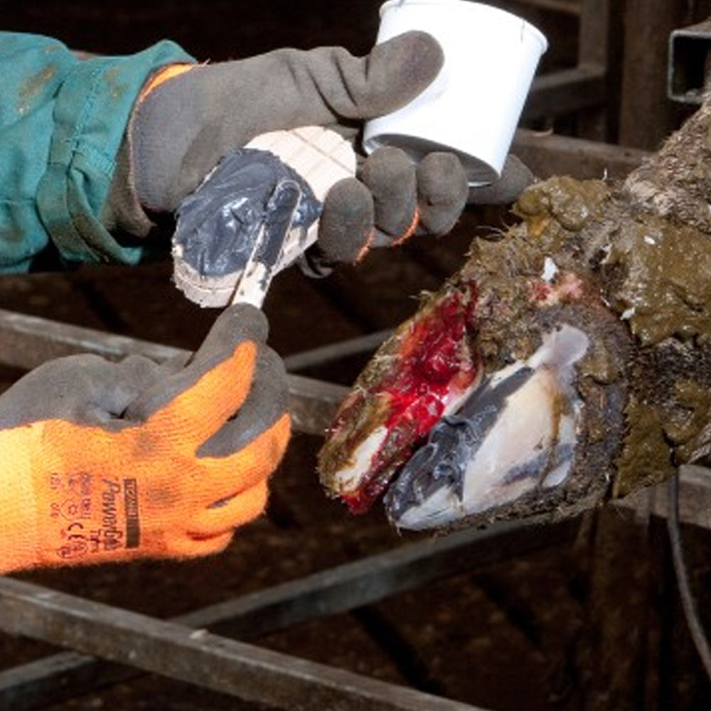 Technovit 6091 Resina Universale per Zoccoli