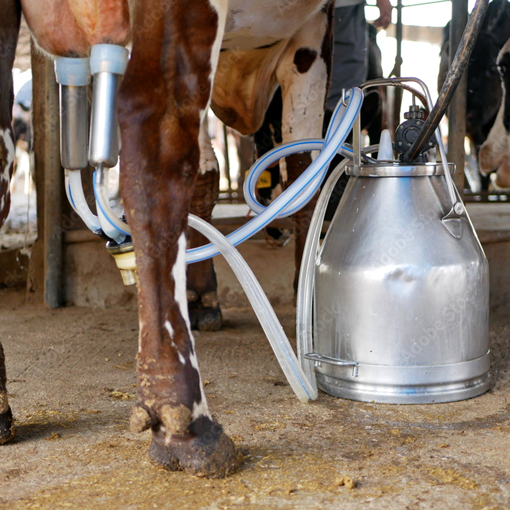 Tubo del latte Silikon
