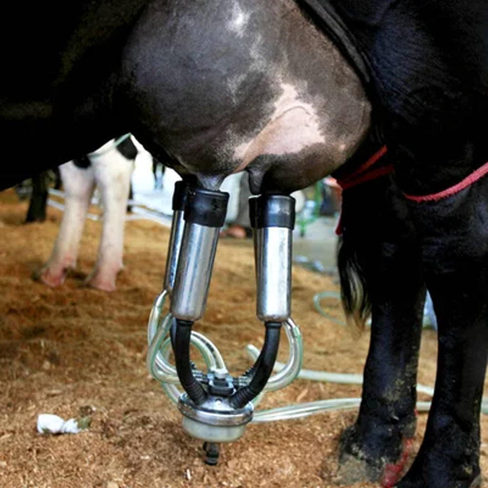 Mungitrice portatile