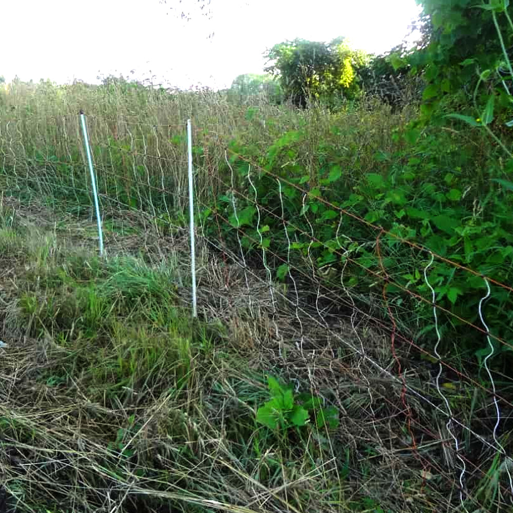 Reti Euronetz e Kombinetz per recinzione - Modelli singoli e doppi con pali di ricambio