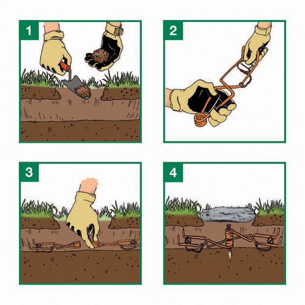 Mola Trappola Per Arvicole - Volex Wolff
