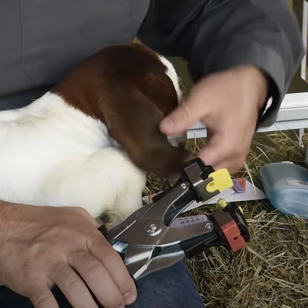 Pinza per marche auricolari Multiflex