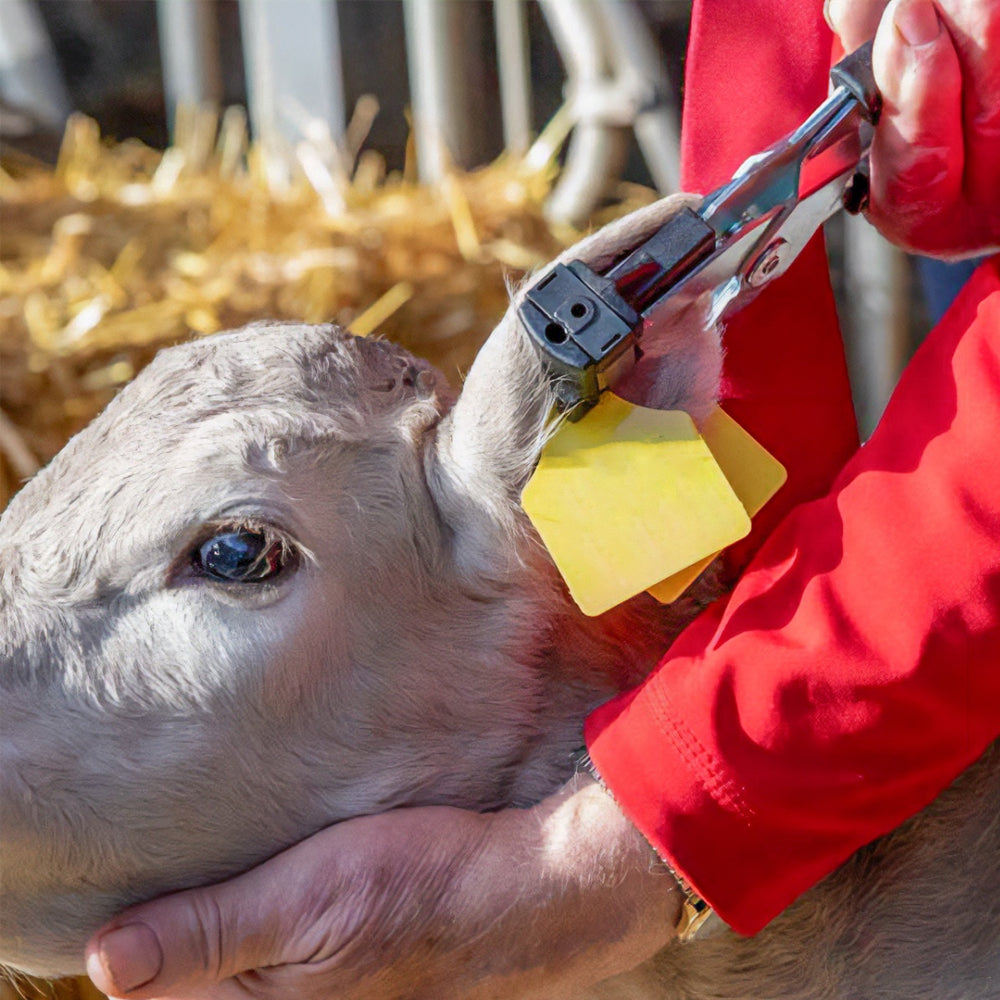 Pinza per marche auricolari Multiflex