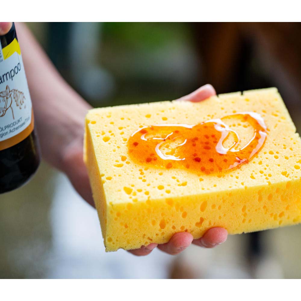 Shampoo per cavalli con olio di roccia tirolese