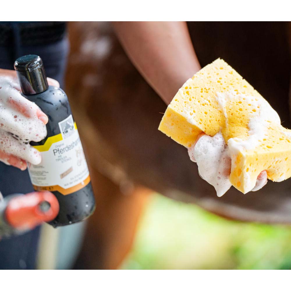 Shampoo per cavalli con olio di roccia tirolese