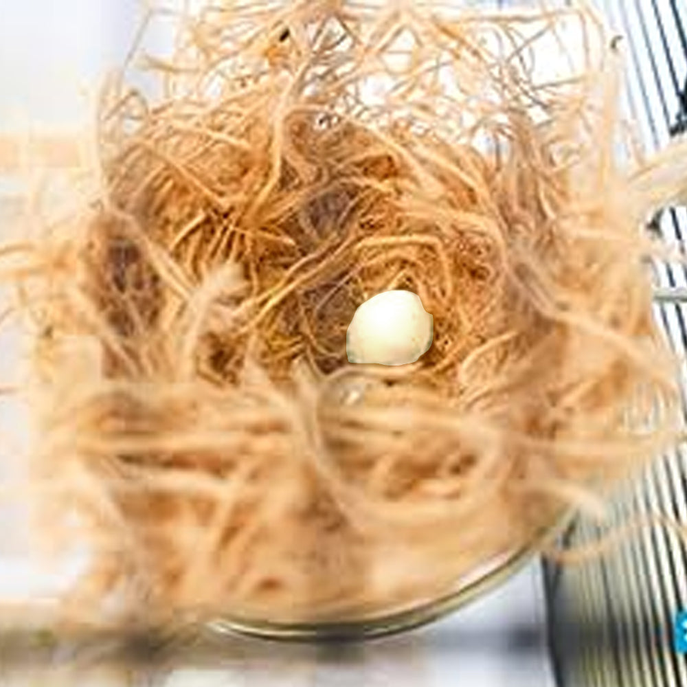 uova in plastica per canarini