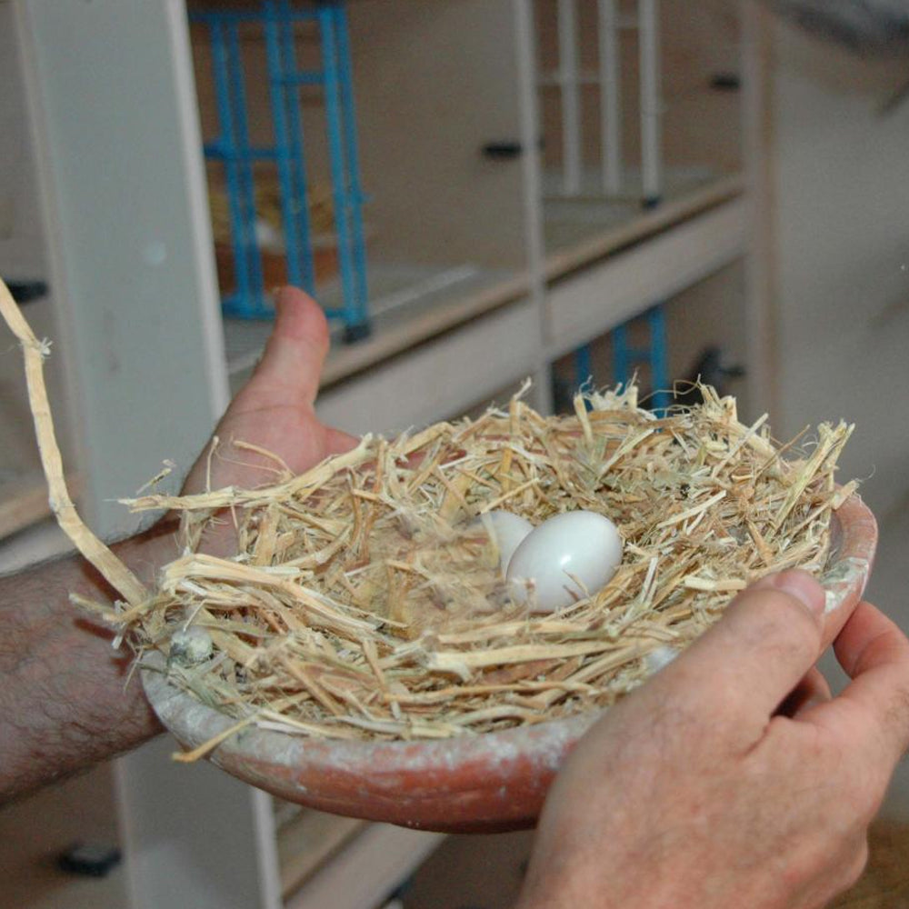 uova artificiali FPI 4310