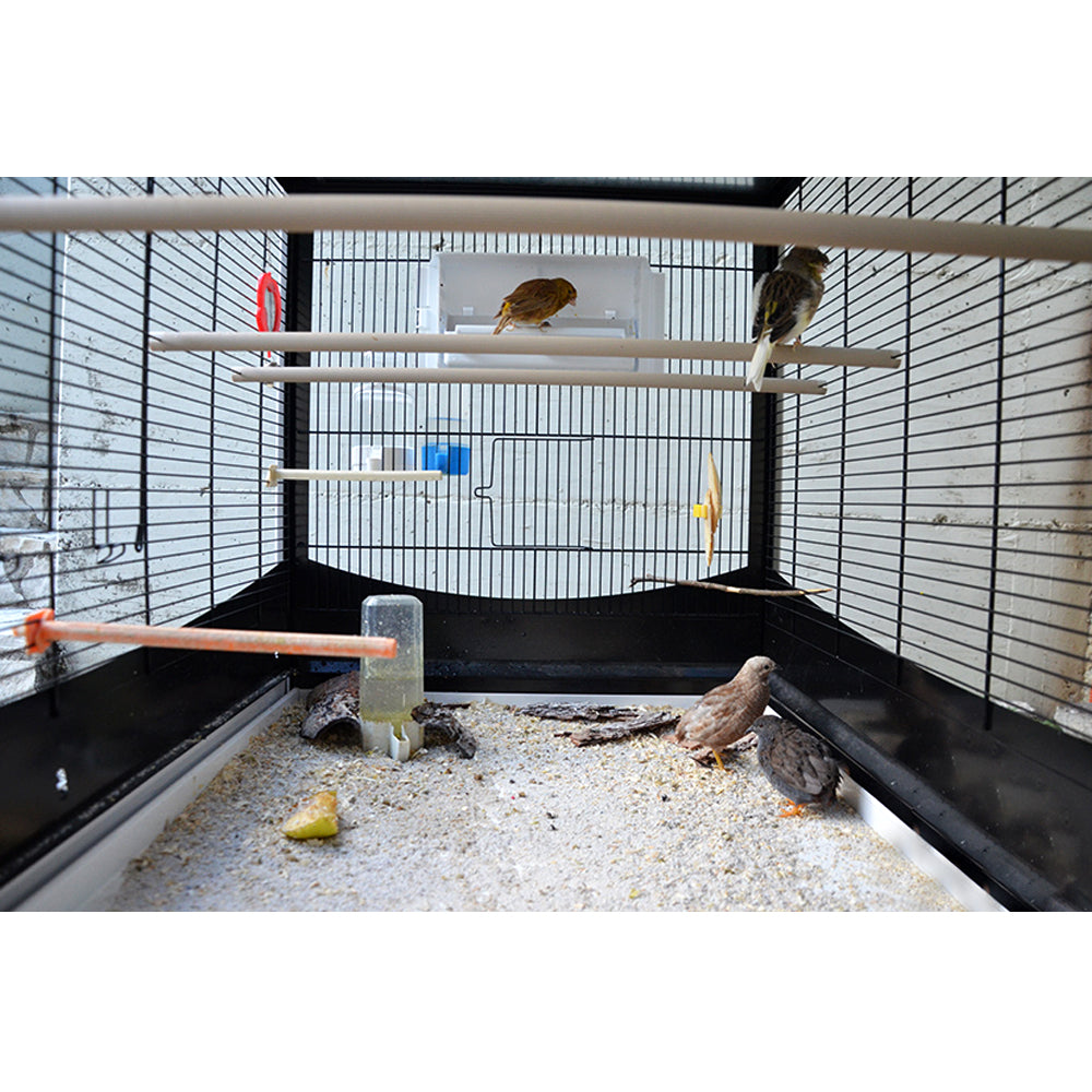 Voliera Duetto Blu gabbia spaziosa per piccoli uccelli