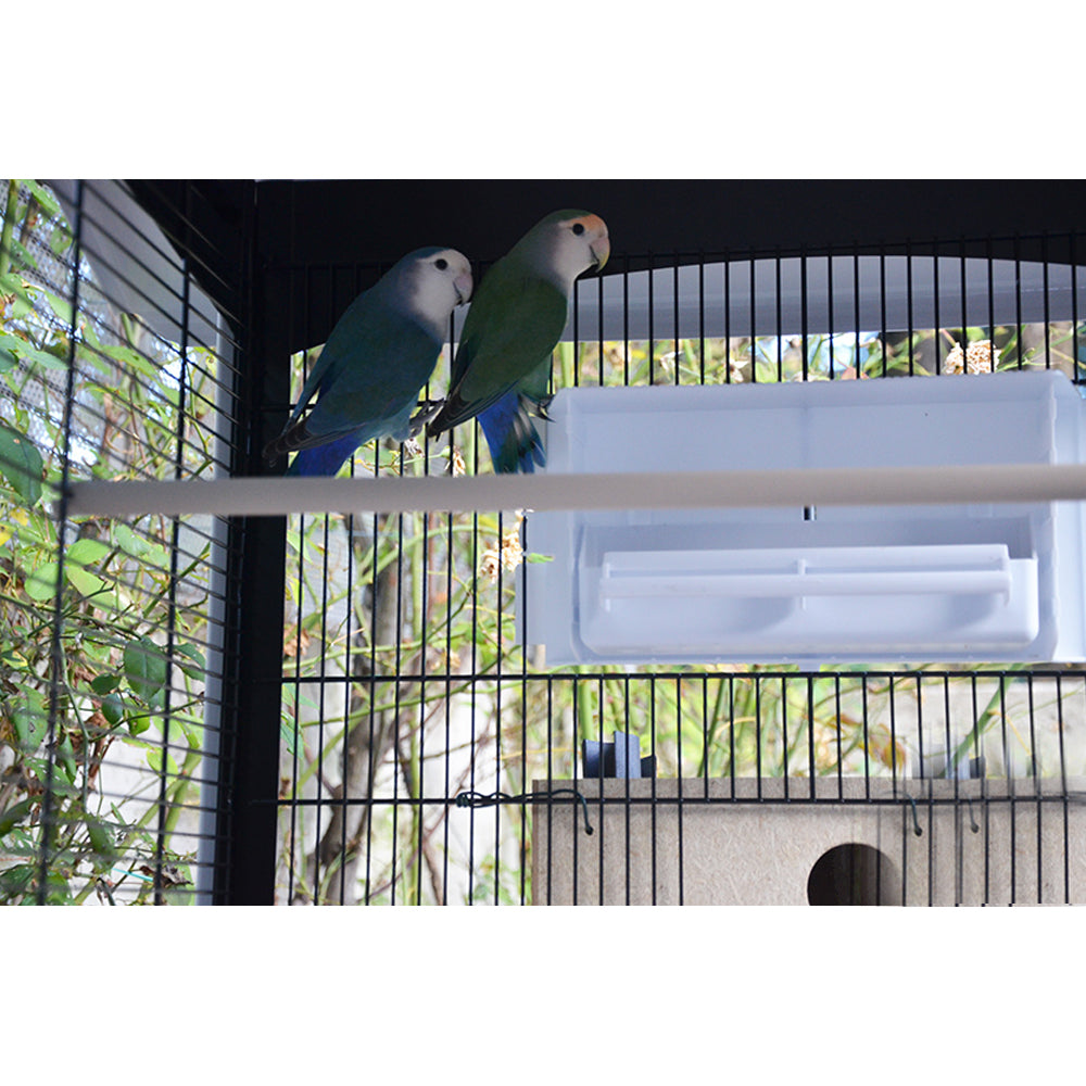Voliera Duetto Blu gabbia spaziosa per piccoli uccelli