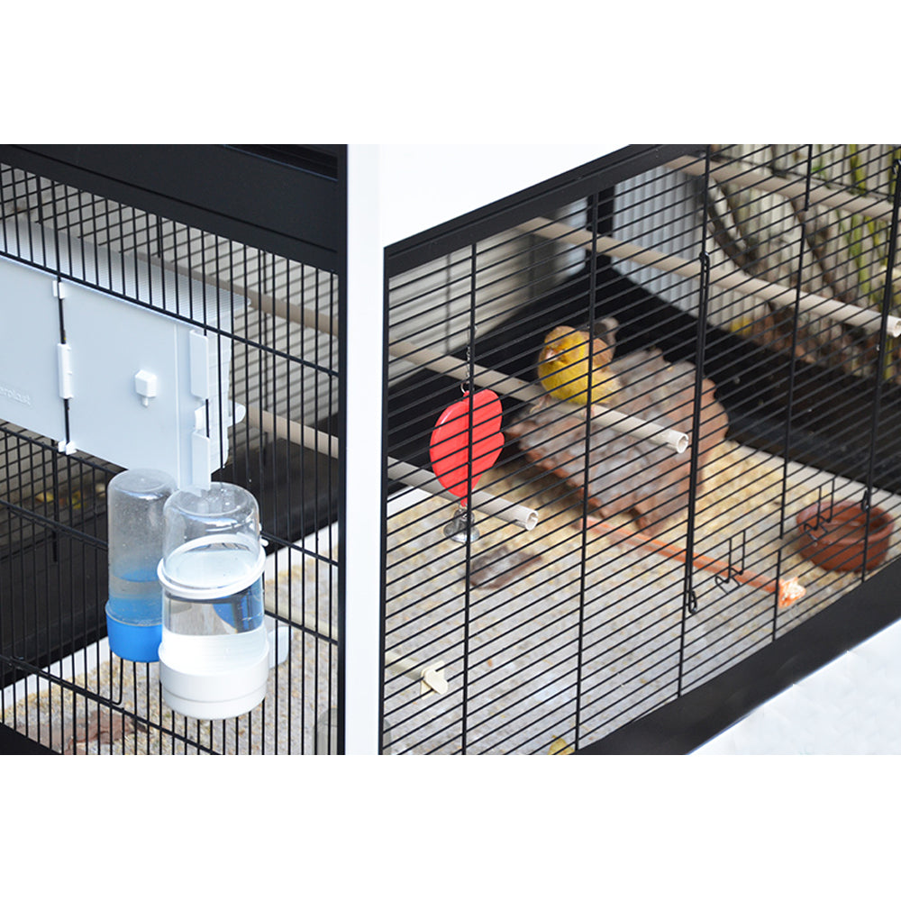 Voliera Duetto Blu gabbia spaziosa per piccoli uccelli