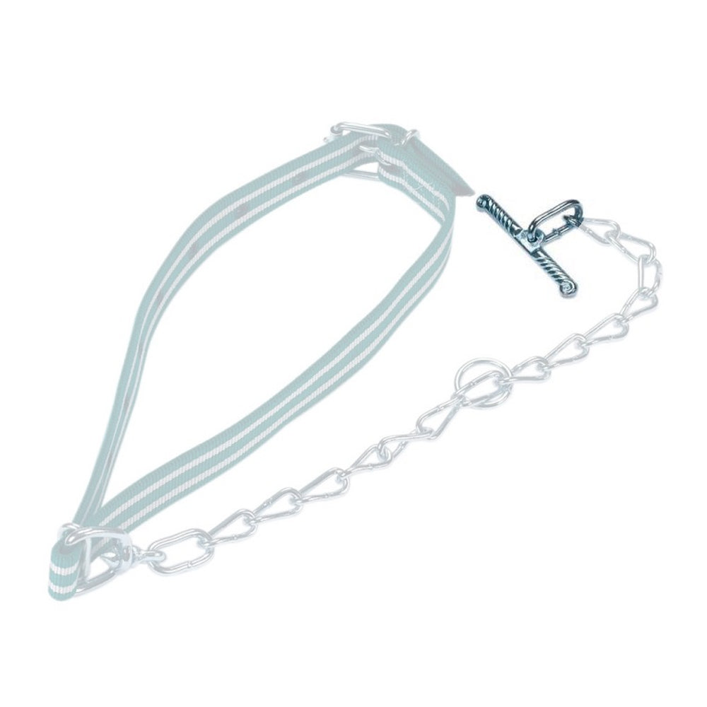 Alamaro con Anello Ovale in Metallo per Bovini