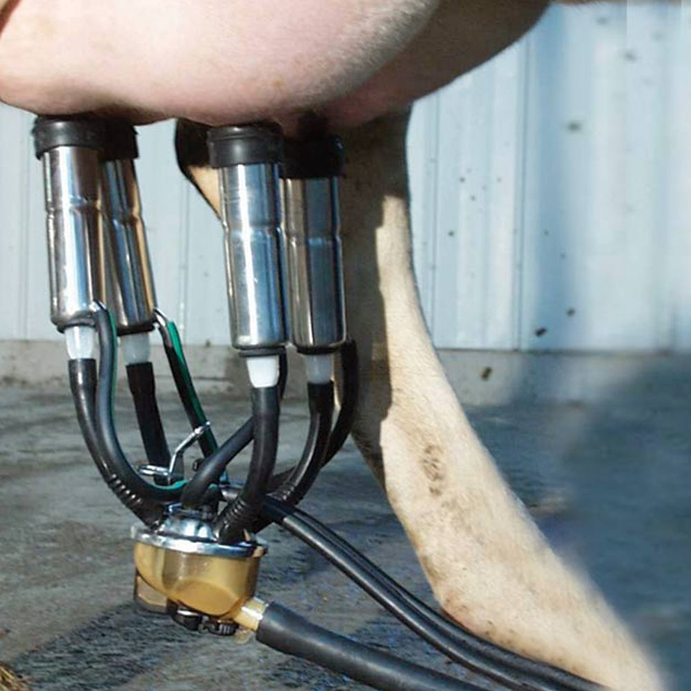 Copertura inferiore per collettore lattazione mungitura professionale