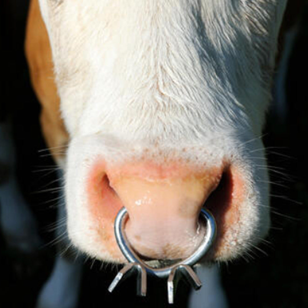 Antisucchio bovini in metallo