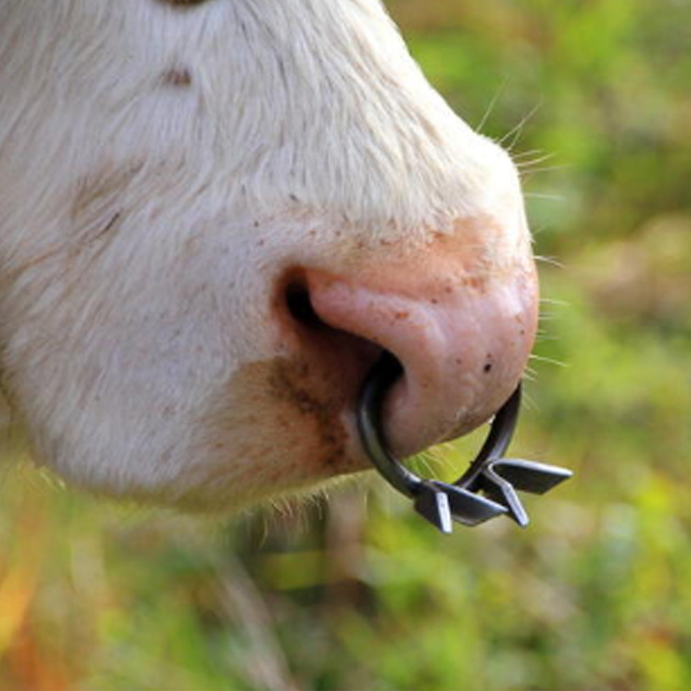 Antisucchio bovini in metallo