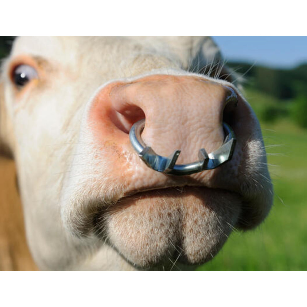 Antisucchio bovini in metallo