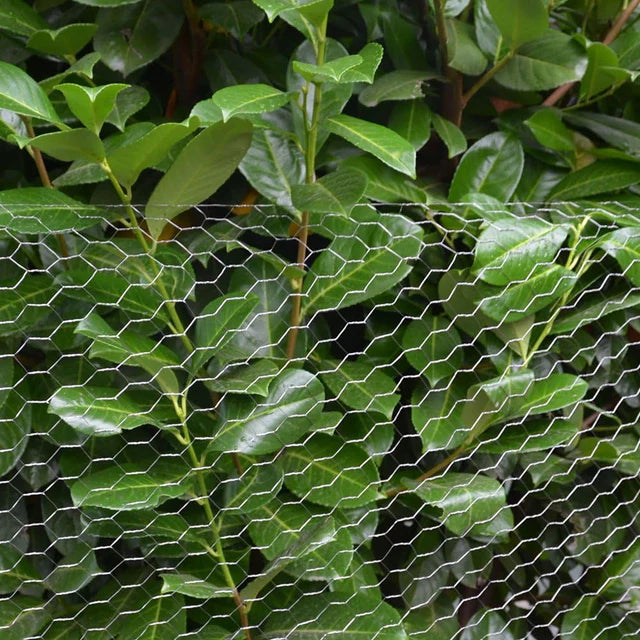 Rete esagonale al miglior prezzo