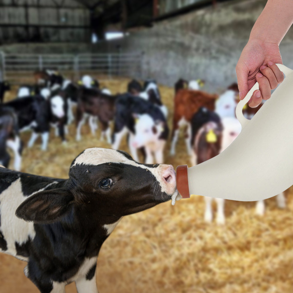 bottiglia per latte vitelli