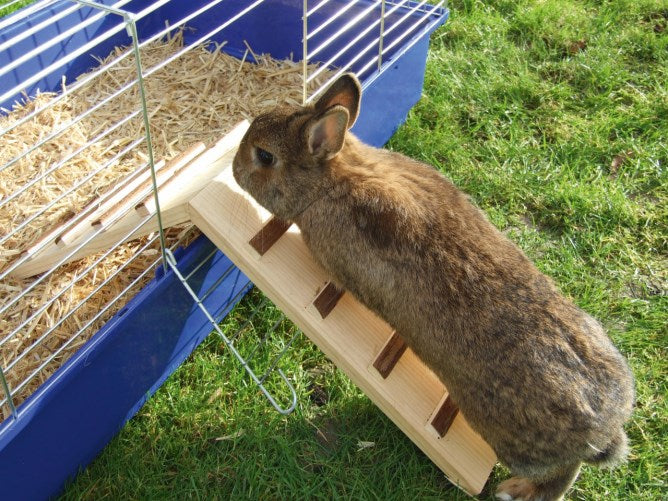 Ponte Nature legno gabbia
