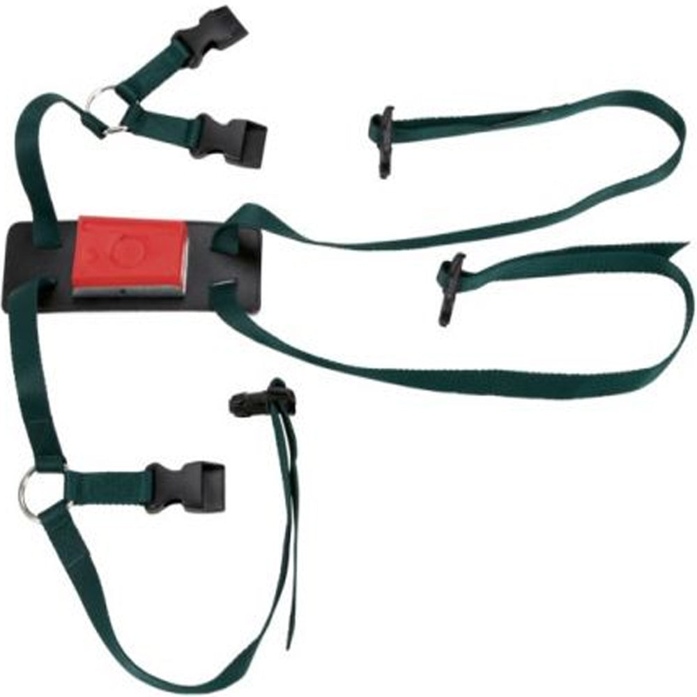 correggia per monta montoni