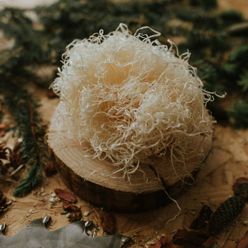 Lana per mammelle Agroclean 12kg