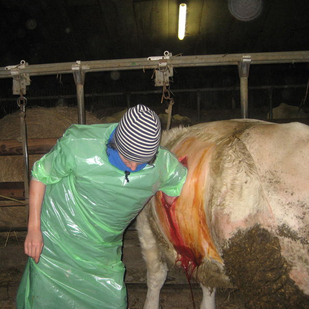 Camice veterinario in nylon verde