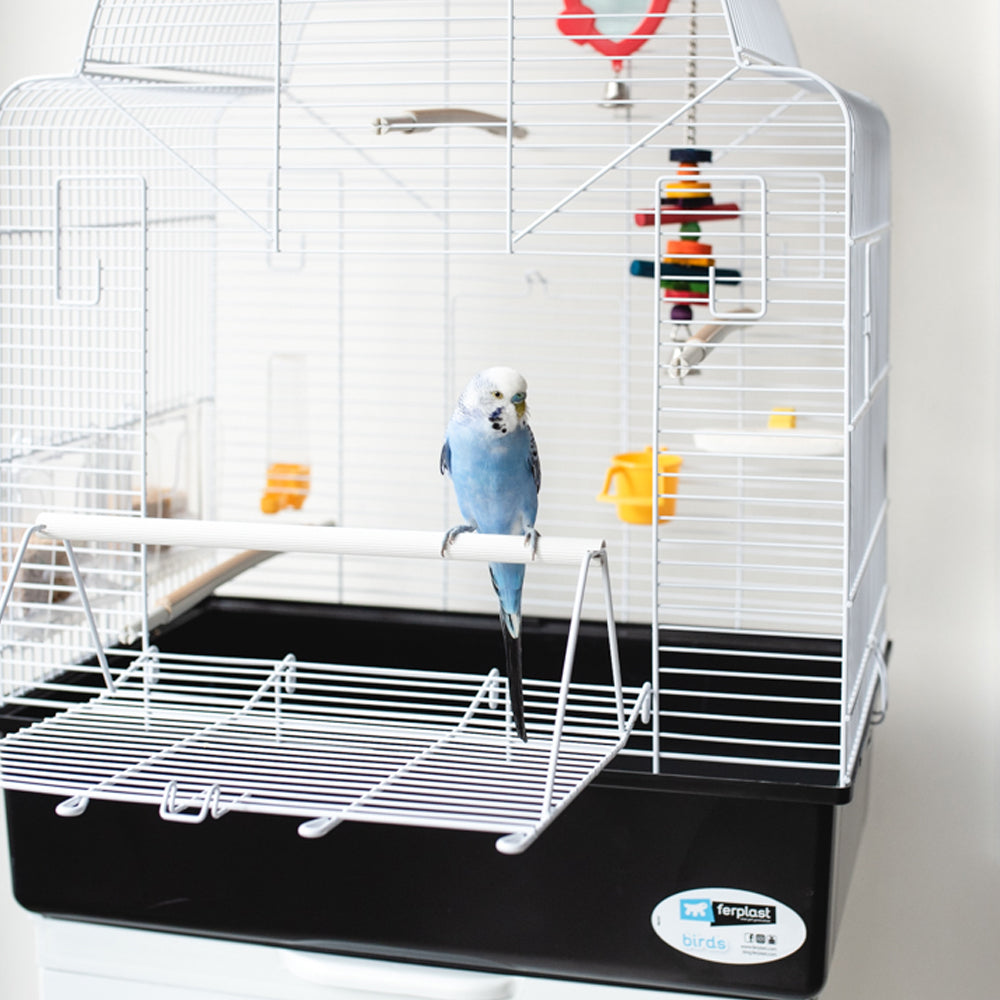 Giocattolo per uccelli in legno