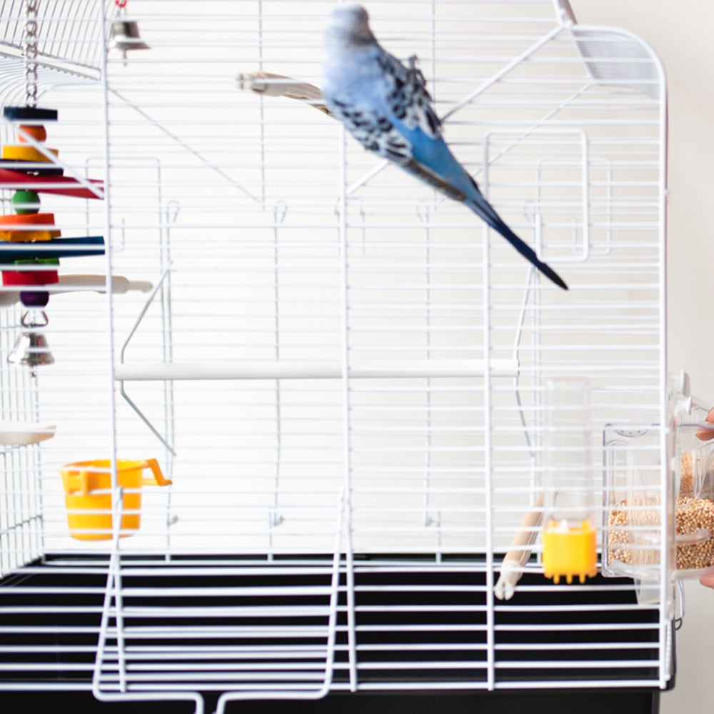 Gioco per cacatua in legno