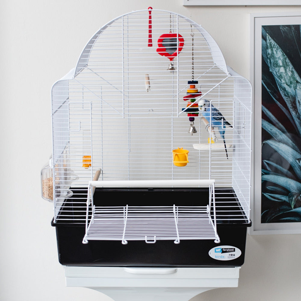 Giocattolo per pappagallo PA 4091