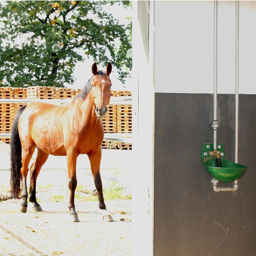 Abbeveratoio 12P di plastica