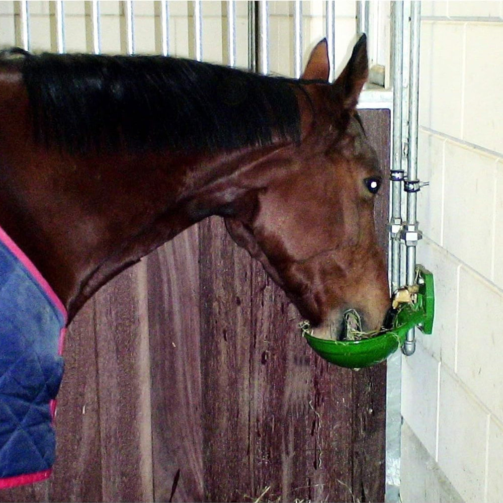 Abbeveratoio 12P di plastica