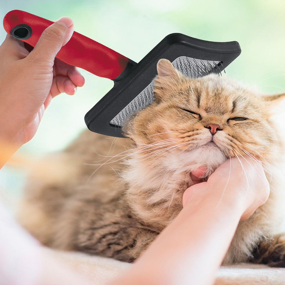 GRO 5948 EXTRA LARGE Spazzola lisciante per cani e gatti