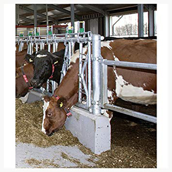 Protezione dalla corrosione