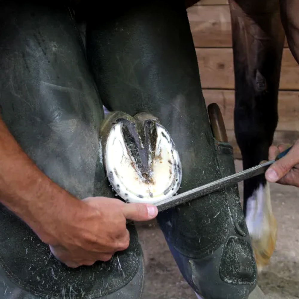 Lima professionale per unghie