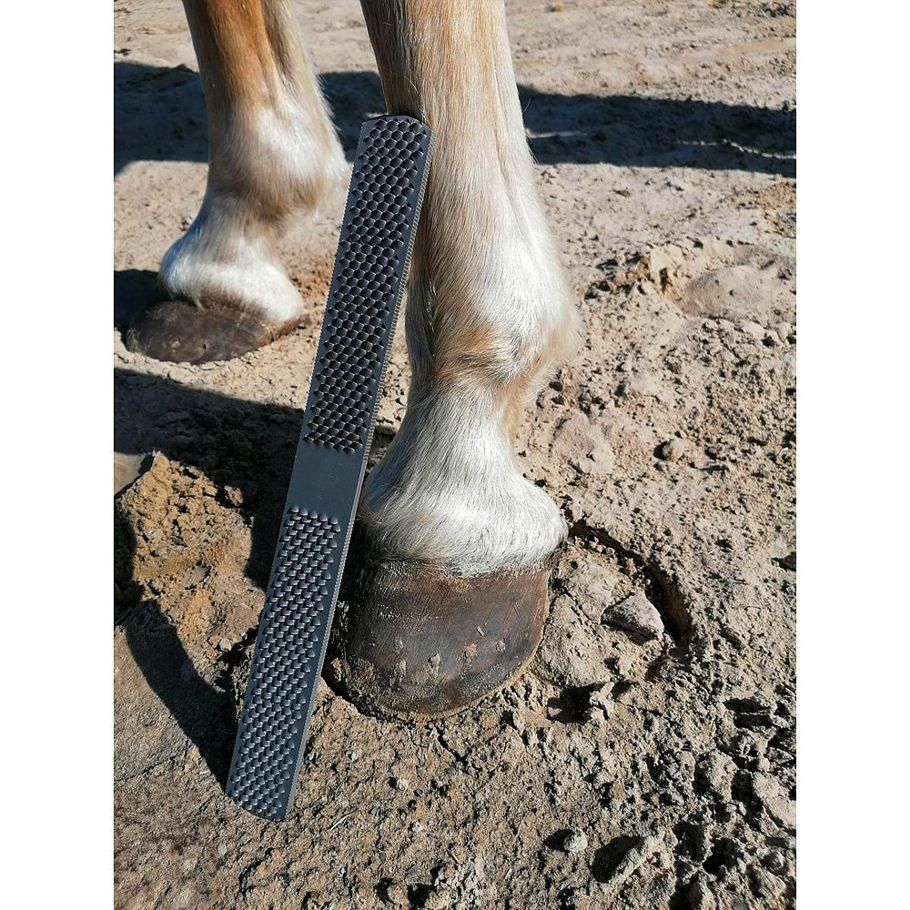 Strumenti di cura per cavalli