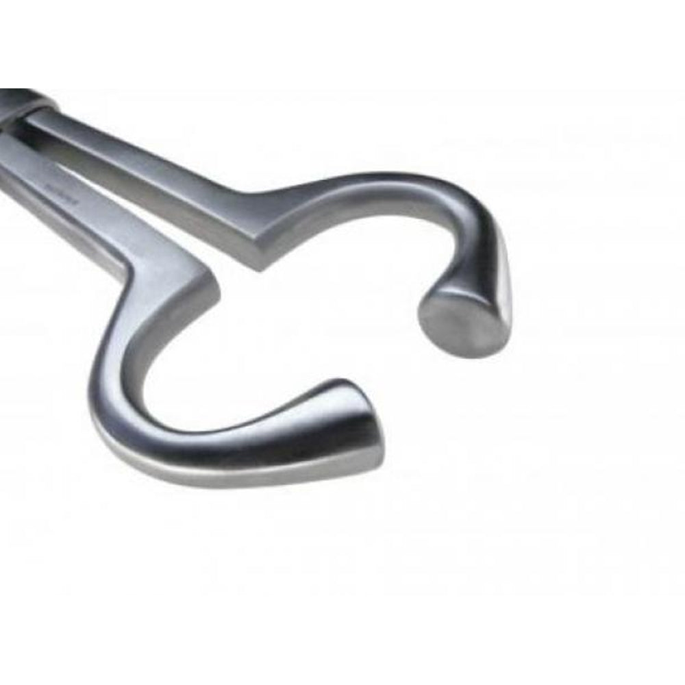 Mordecchia in Acciaio Inossidabile per Bovini Modello